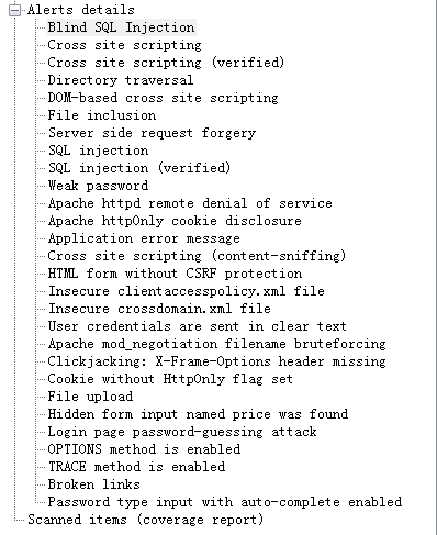 wvs扫描到的漏洞类型列表